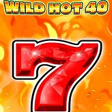Wild Hot 40 – blazing wild wins on Vegasino